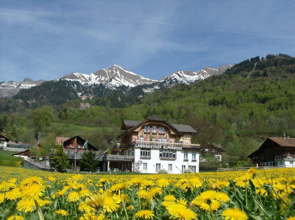 Hotel Alpenrose Beim Ballenberg Brienz  Exterior photo