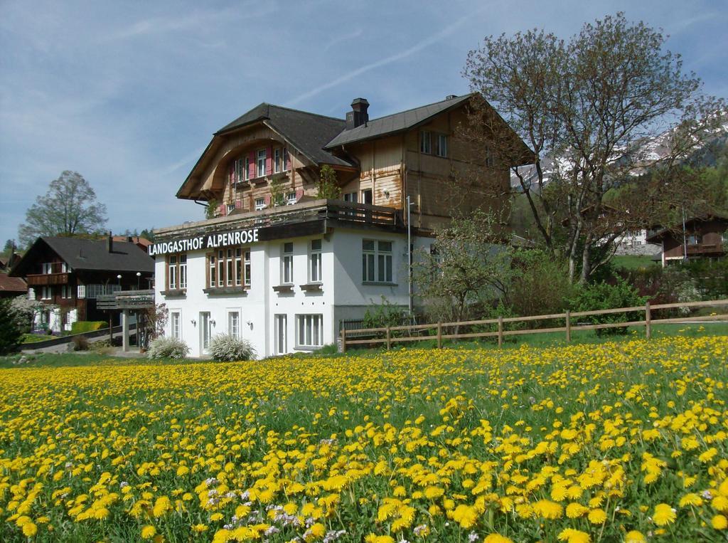 Hotel Alpenrose Beim Ballenberg Brienz  Exterior photo